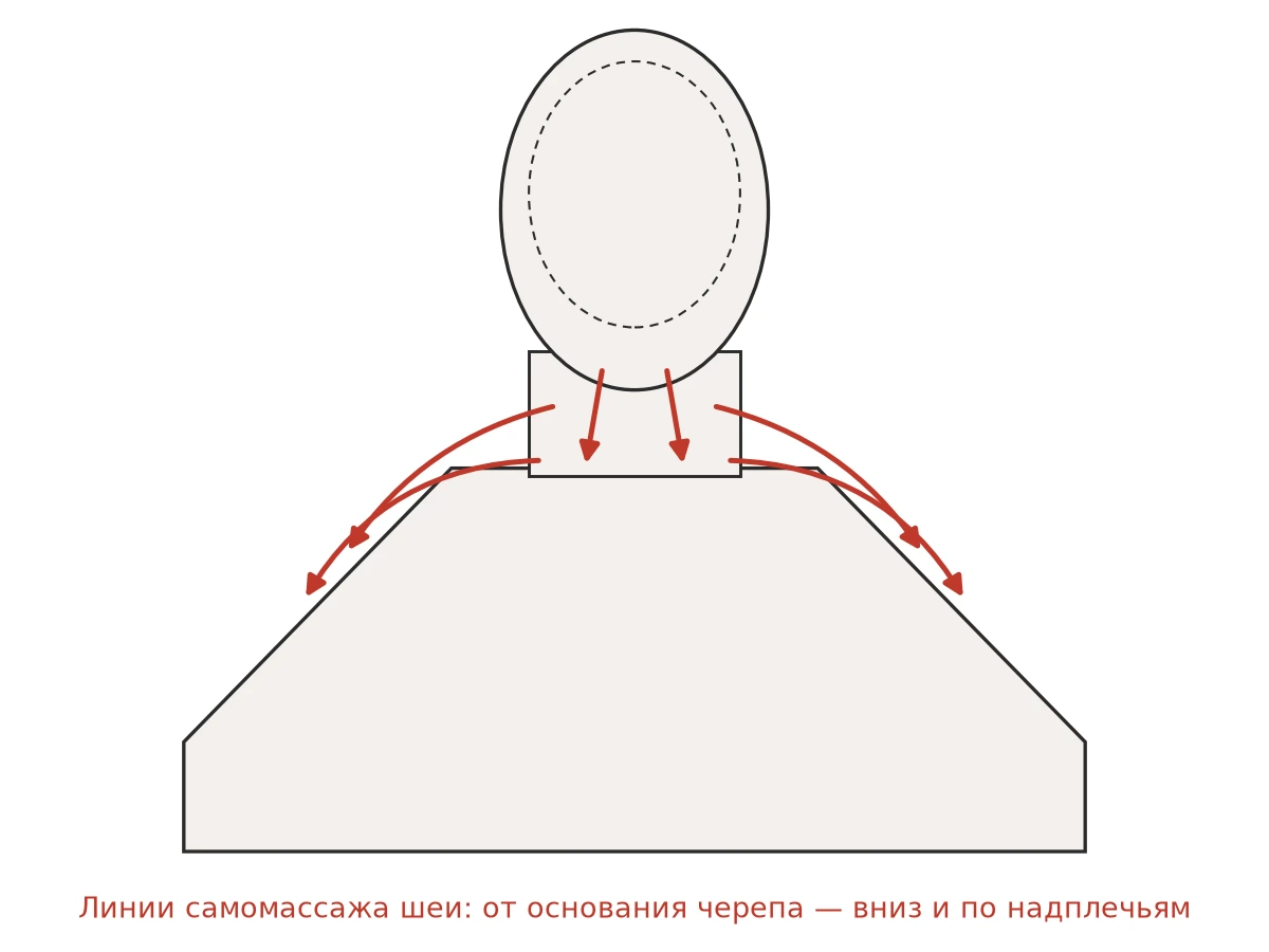 Схема линий самомассажа шеи